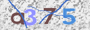 Obraz CAPTCHY