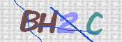 Obraz CAPTCHY