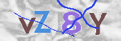 Obraz CAPTCHY