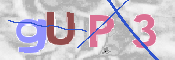 Obraz CAPTCHY