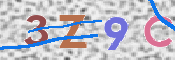 Obraz CAPTCHY